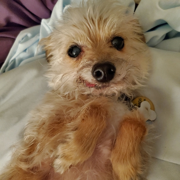 Meet your Posher, Katlyn - Picture 3 of 6